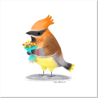 Cedar Waxwing Bird with flowers Posters and Art